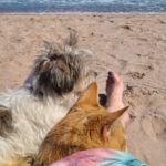 Jack and Ralphie are on vacation. They are having some beach time on the Aspy Bay, Cape Breton.